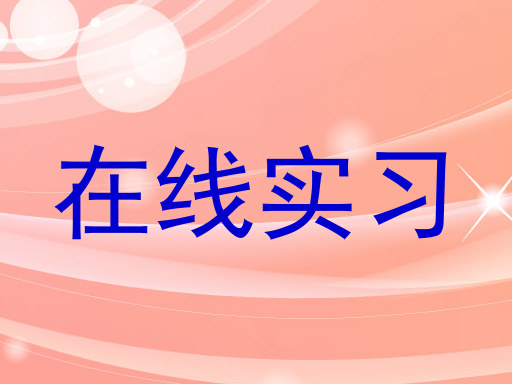 在线实习
