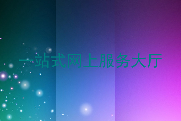 一站式网上服务大厅
