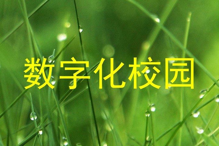 数字化校园