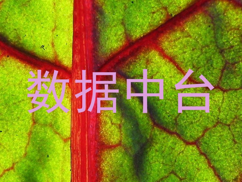 数据中台