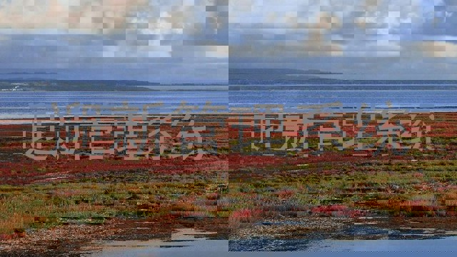 迎新管理系统