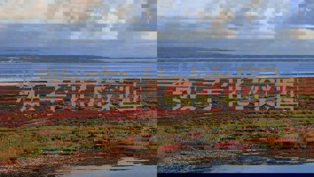 数字化校园