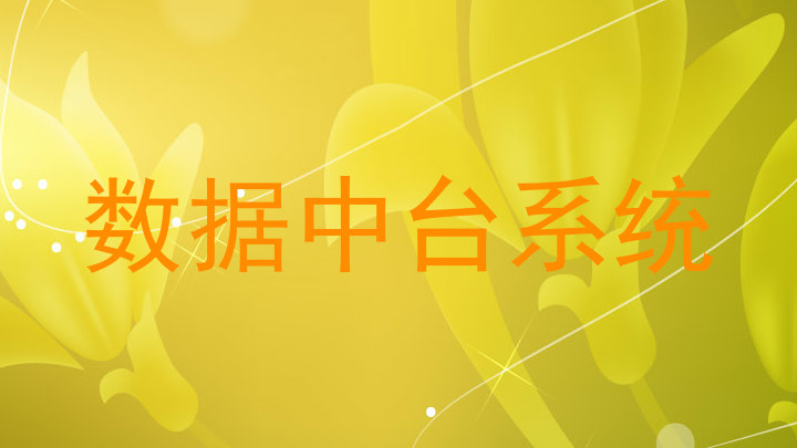 数据中台系统