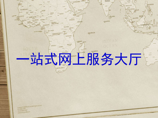 一站式网上服务大厅