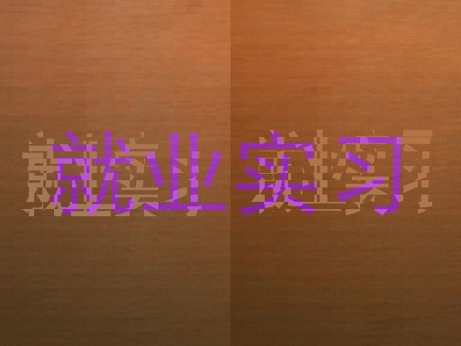就业实习