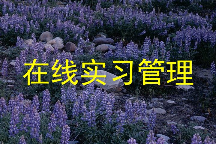 在线实习管理