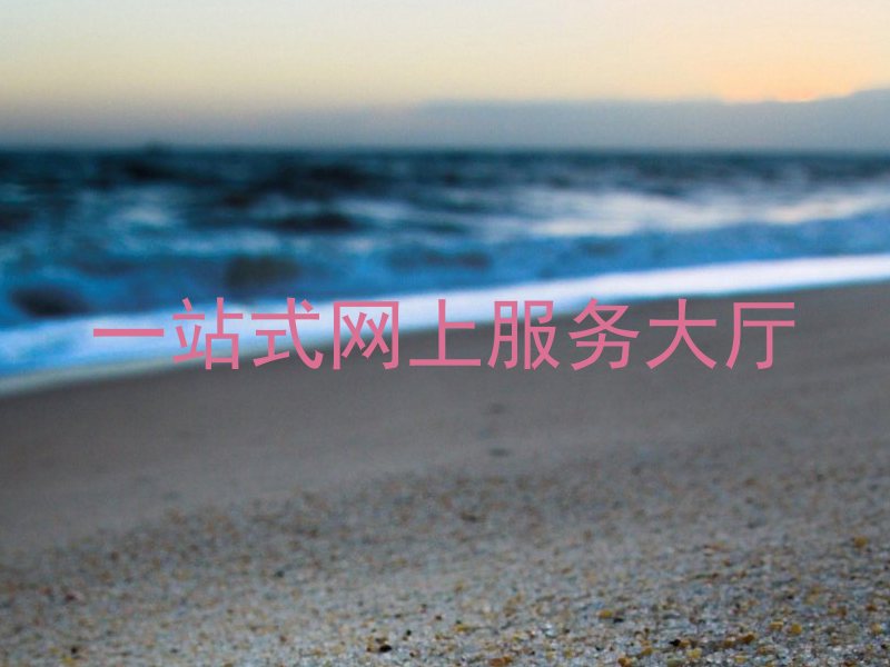 一站式网上服务大厅