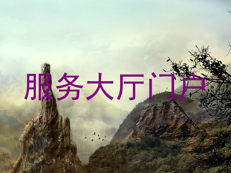 服务大厅门户