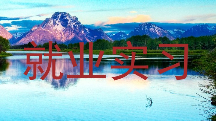 就业实习