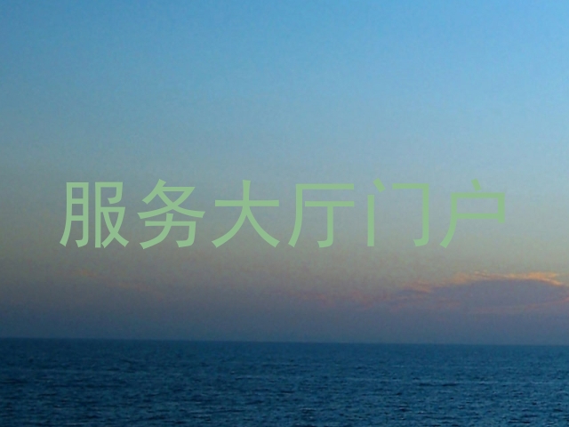 服务大厅门户