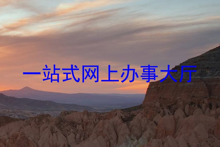 一站式网上办事大厅