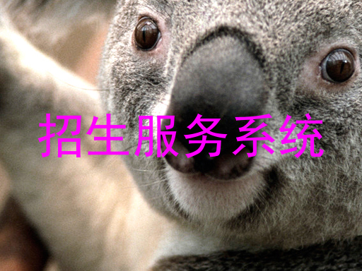 招生服务系统