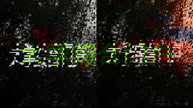 大学综合门户