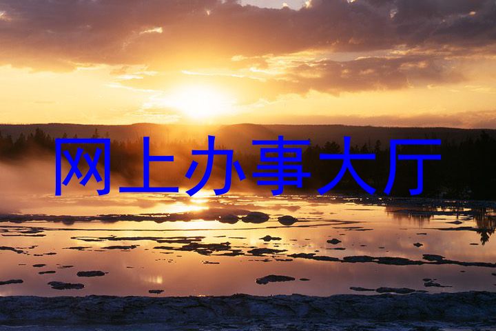 网上办事大厅