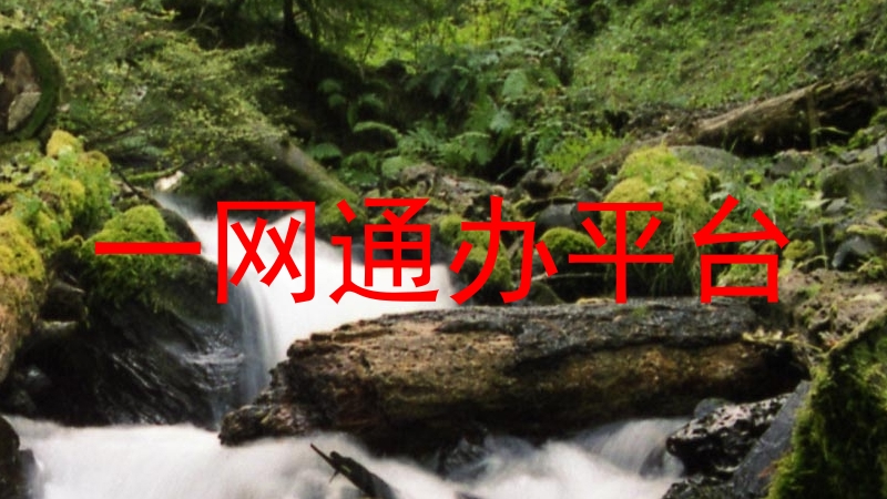 一网通办平台