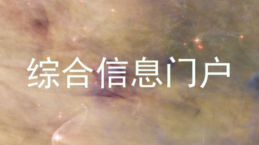 综合信息门户