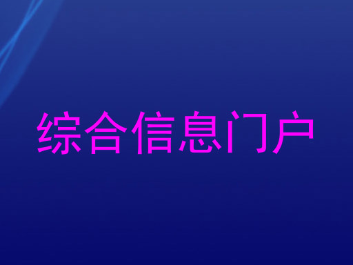 综合信息门户