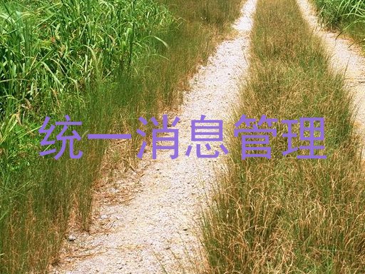 统一消息管理