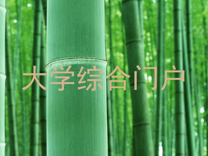 大学综合门户