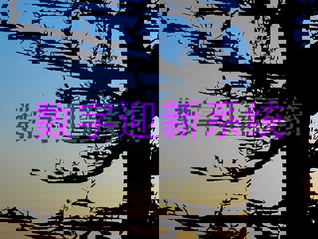 数字迎新系统