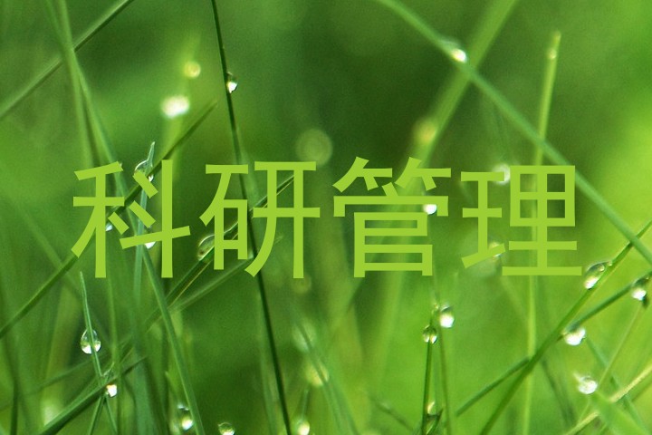 科研管理