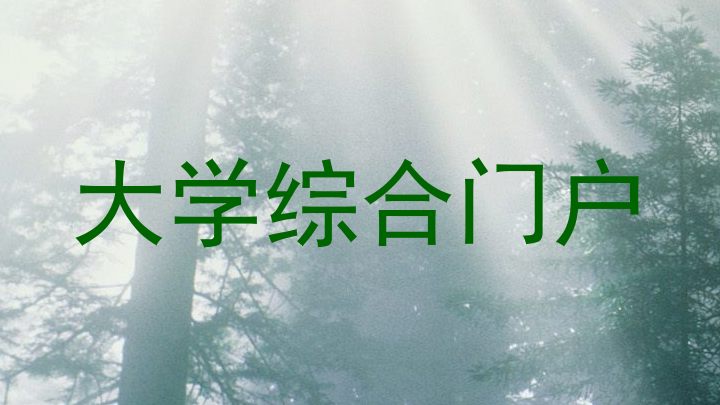 大学综合门户