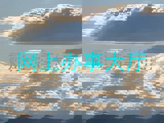 网上办事大厅