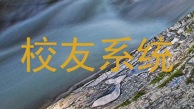 校友系统