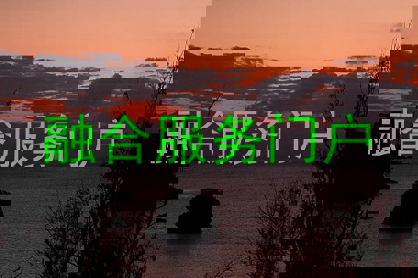 融合服务门户