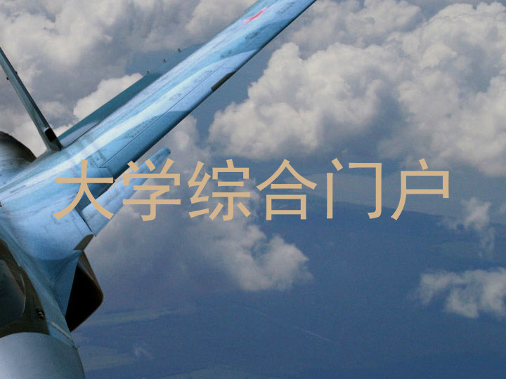 大学综合门户