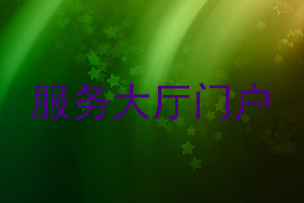 服务大厅门户