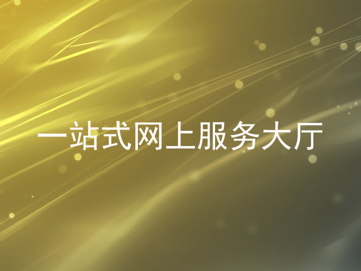 一站式网上服务大厅