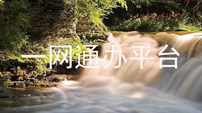 一网通办平台