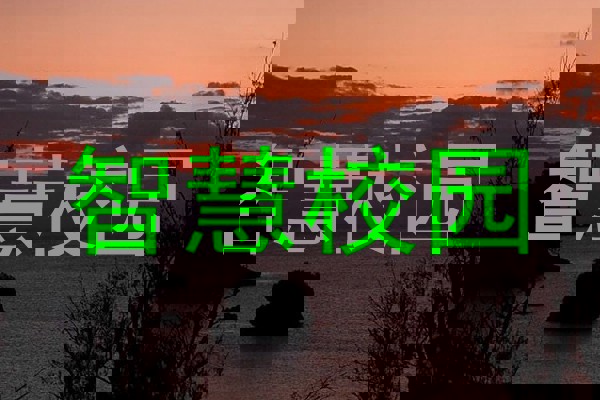 智慧校园