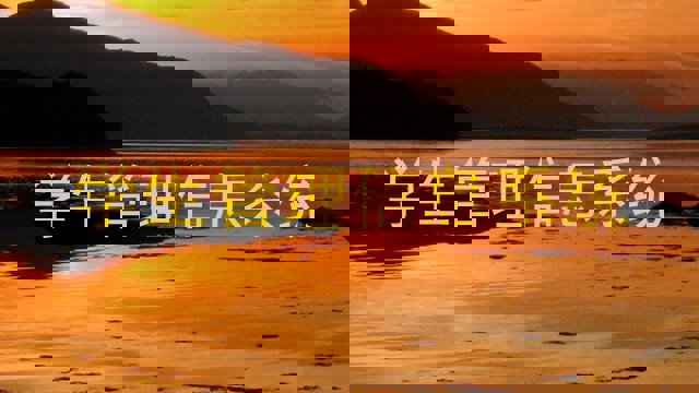 学生管理信息系统