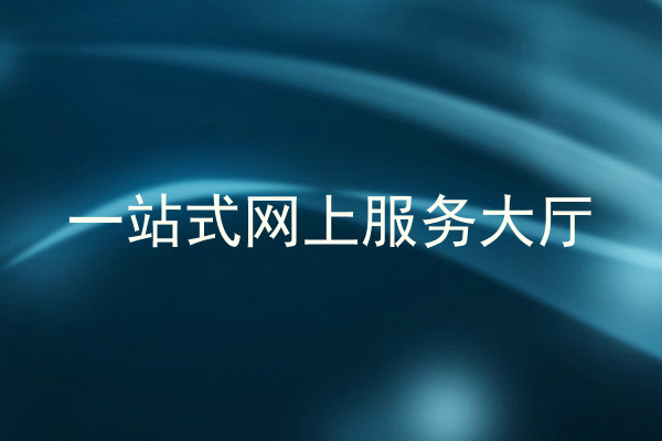 一站式网上服务大厅
