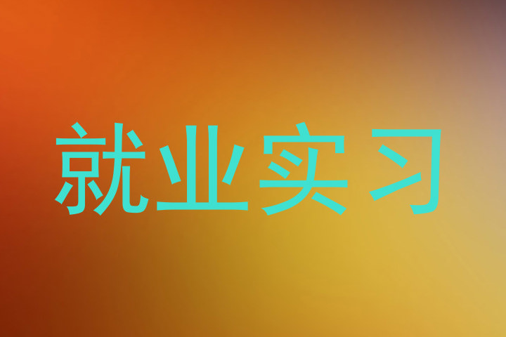 就业实习