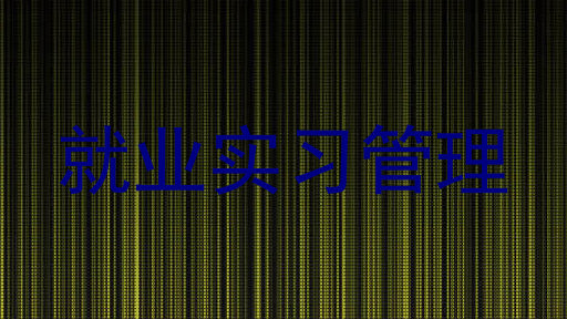 就业实习管理