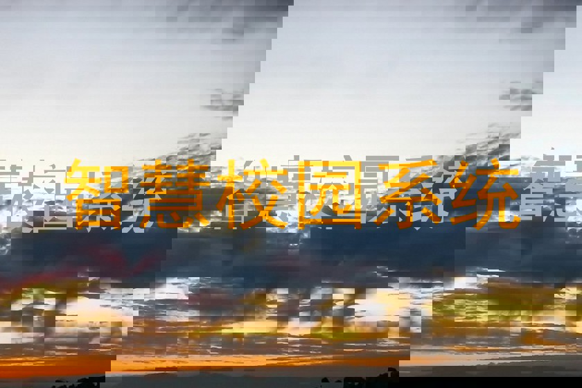 智慧校园系统