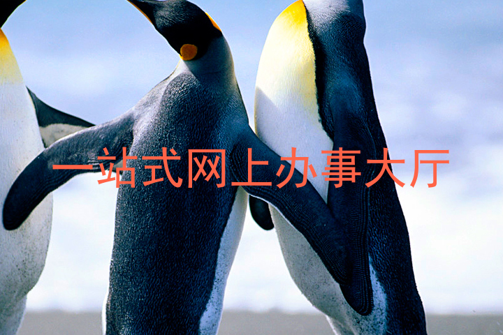 一站式网上办事大厅