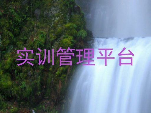 实训管理平台