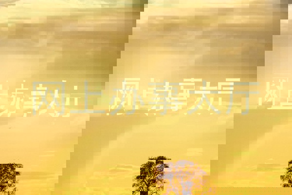 网上办事大厅
