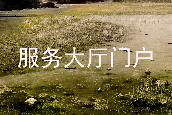 服务大厅门户