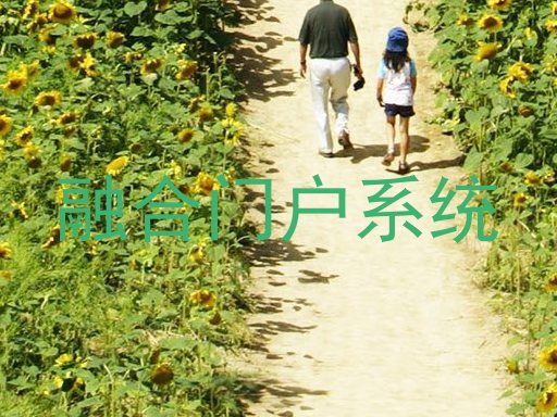 融合门户系统