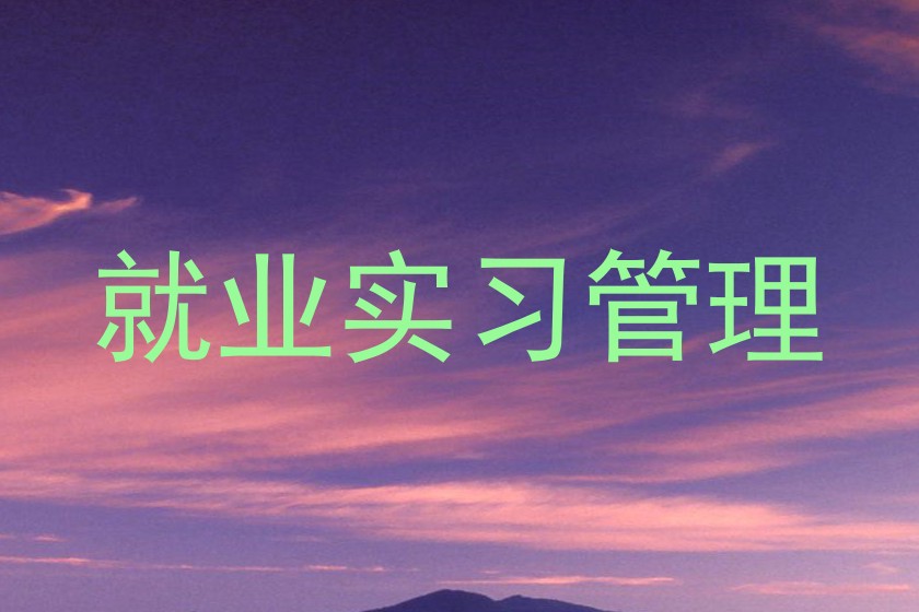就业实习管理