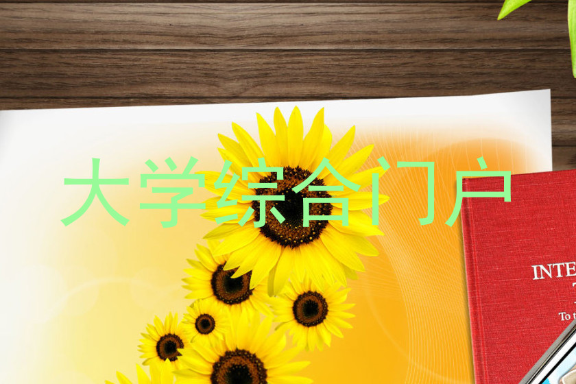 大学综合门户