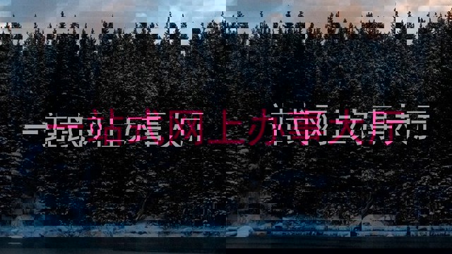 一站式网上办事大厅