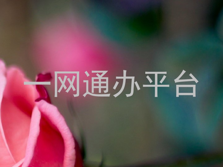 一网通办平台
