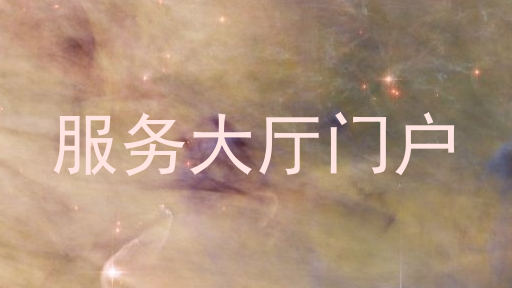 服务大厅门户