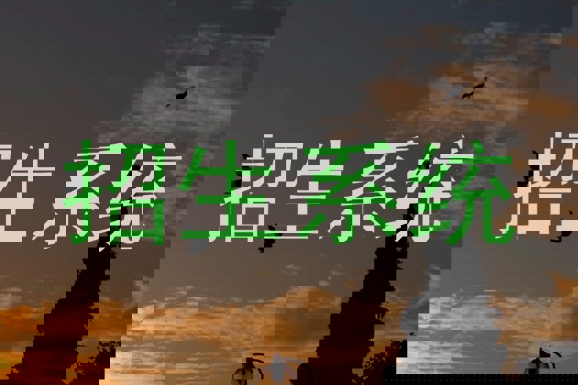 招生系统
